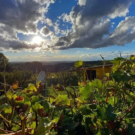 Nelle Vigne Holiday home Novello