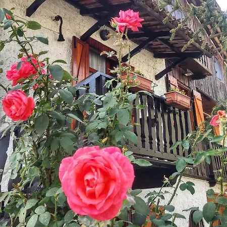 Nelle Vigne Сasa de vacaciones