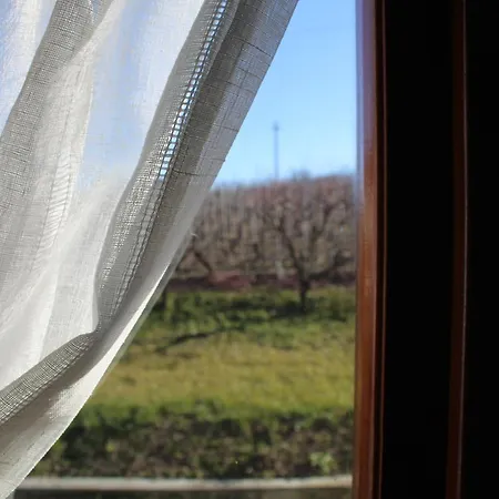Holiday home Nelle Vigne Novello