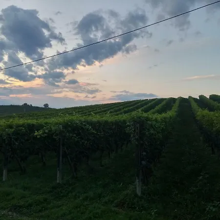 Nelle Vigne Holiday home *