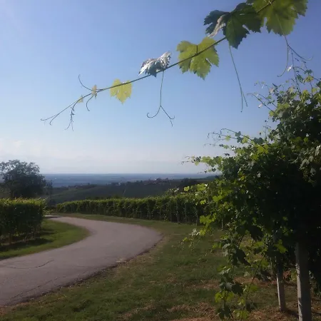 Nelle Vigne * Novello